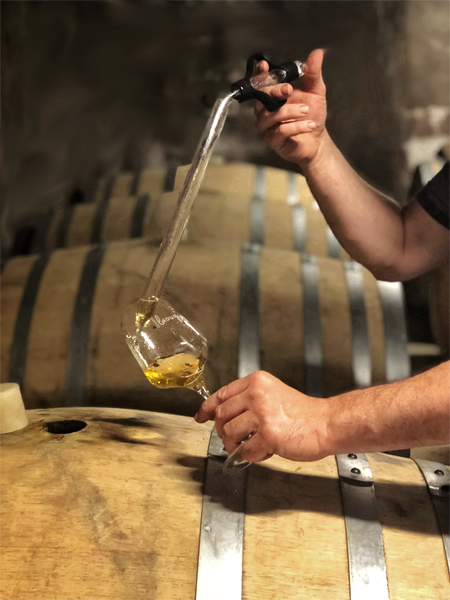Dégustation avec pipette à vin